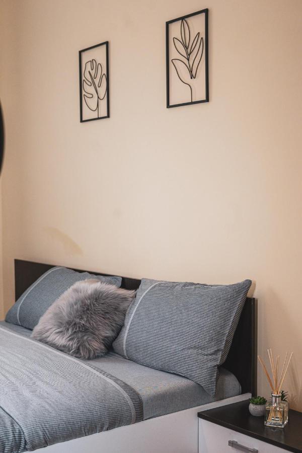Central And Modern Apartment With Free Parking Timişoara Exterior foto